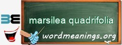 WordMeaning blackboard for marsilea quadrifolia